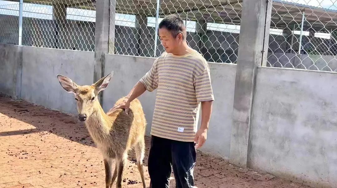 博奥软件下载中心